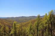 Blue Ridge Parkway