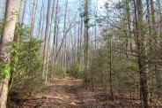 Spencer Branch Trail