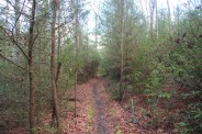 Spencer Branch Trail