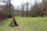 North Mills River Recreation Area