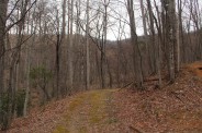 Wash Creek Road