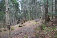Junction with Buckeye Gap