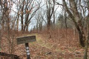 Junction with Haywood Gap