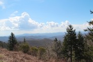 Rough Butt Bald Overlook