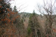 From the Blue Ridge Parkway