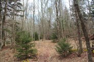 South part of the trail