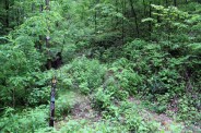 Burnett Gap trailhead