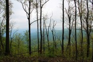 Misty mountains