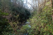 Trail at river level