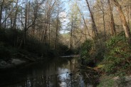 Tranquil