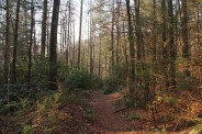 Upper Chattooga River Trail