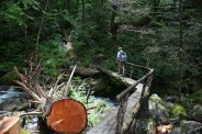 2nd creek crossing