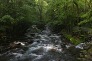 Crossing the river