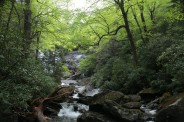 Tumbling creek