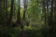 Upper trail