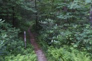 Trail junction