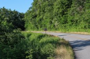 Milepost 416