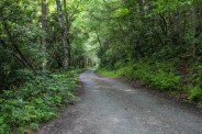Cove Creek Road