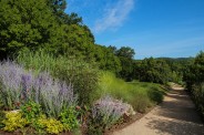 Holly Garden