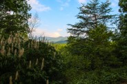 Mt. Pisgah