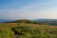 Black Balsam summit