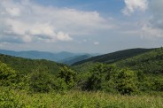 From Ivestor Gap