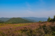 Sam Knob from Black Balsam
