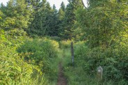 Art Loeb trailhead
