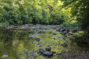 Buckeye Cove