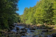 Greasy Cove