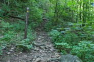 Trail junction
