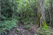 Rocky trail