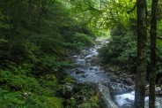 Upper river