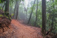 Brand new trail