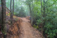 Switchback