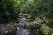Creek below the falls
