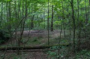 Campsite