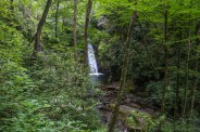 Long view Courthouse Falls