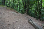 Falls that-a-way