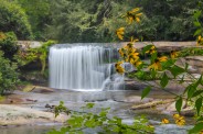 Living Waters