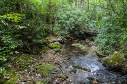 Lower creek