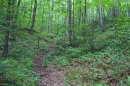 Heading up the ridge