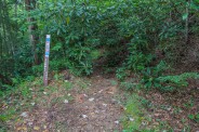Summey Cove trailhead