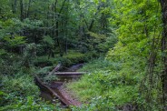 Bent Creek