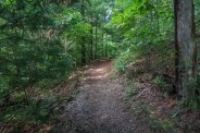 Carolina Mountain Trail