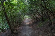 Homestead Trail