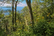 Cataloochee