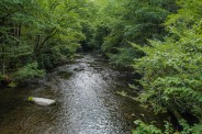 Cataloochee Creek