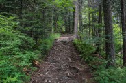 Benton MacKaye Trail