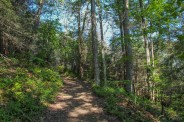 Mid trail